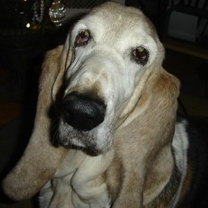 Meet your Posher, Mary ann